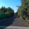 Allée principale vue depuis portail secours